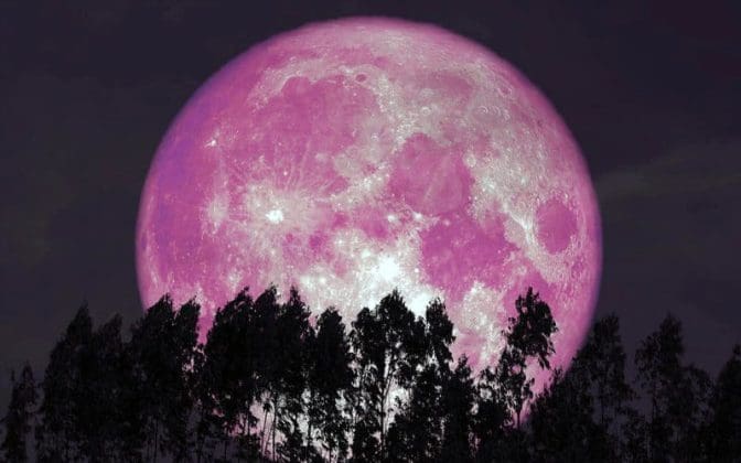 Strawberry Moon to hit peak tonight | My County Link